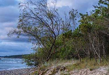 kaiyun中国官网中超金靴：武磊回归申花